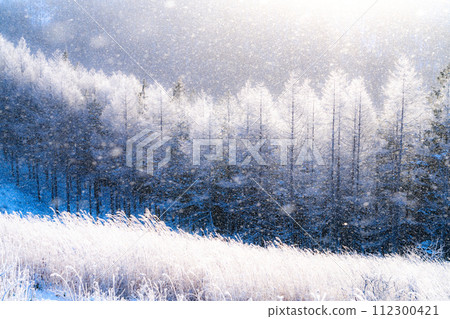 【長野縣】冬天的霧峰高原,鑽石塵飛舞的白霜原始森林 【長野縣】冬天的霧峰高原,鑽石塵飛舞的白霜原始森林 112300421