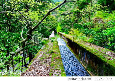 【京都】春天的南禪寺 - 從水樓閣眺望琵琶湖的水道 【京都】春天的南禪寺 - 從水樓閣眺望琵琶湖的水道 112300427