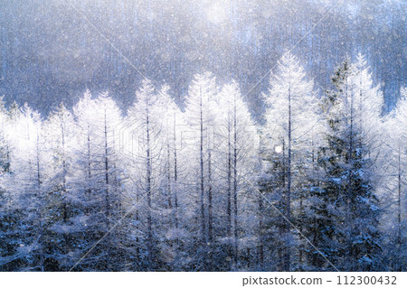 [Nagano Prefecture] Kirigamine Plateau in winter, a virgin forest of hoarfrost with diamond dust dancing 112300432
