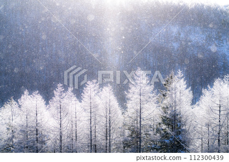 【長野縣】冬天的霧峰高原,鑽石塵飛舞的白霜原始森林 【長野縣】冬天的霧峰高原,鑽石塵飛舞的白霜原始森林 112300439