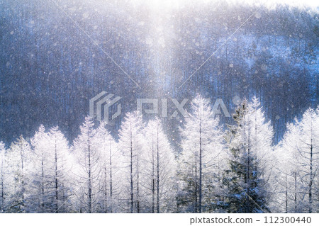 [Nagano Prefecture] Kirigamine Plateau in winter, a virgin forest of hoarfrost with diamond dust dancing 112300440