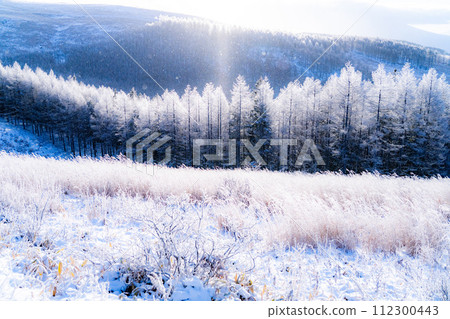 【長野縣】冬天的霧峰高原,鑽石塵飛舞的白霜原始森林 【長野縣】冬天的霧峰高原,鑽石塵飛舞的白霜原始森林 112300443