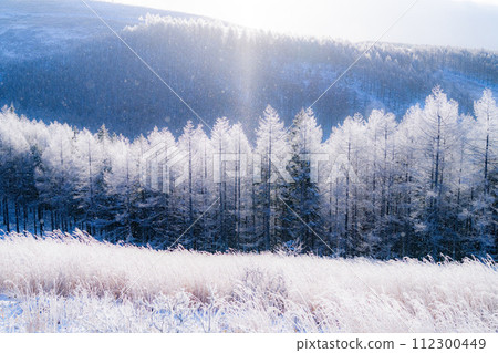 【長野縣】冬天的霧峰高原,鑽石塵飛舞的白霜原始森林 【長野縣】冬天的霧峰高原,鑽石塵飛舞的白霜原始森林 112300449
