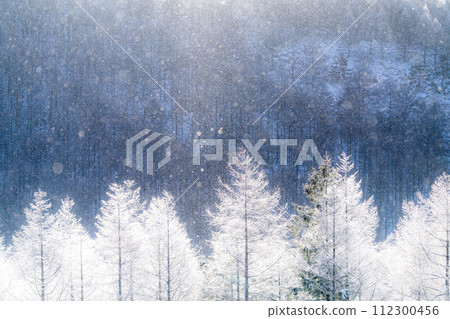[Nagano Prefecture] Kirigamine Plateau in winter, a virgin forest of hoarfrost with diamond dust dancing 112300456