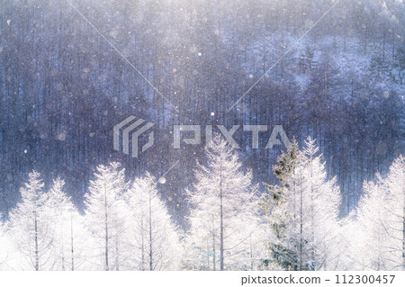 [Nagano Prefecture] Kirigamine Plateau in winter, a virgin forest of hoarfrost with diamond dust dancing 112300457