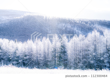 【長野縣】冬天的霧峰高原,鑽石塵飛舞的白霜原始森林 【長野縣】冬天的霧峰高原,鑽石塵飛舞的白霜原始森林 112300464