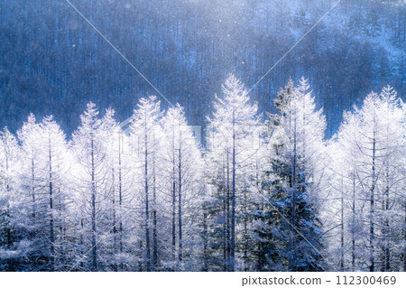 【長野縣】冬天的霧峰高原,鑽石塵飛舞的白霜原始森林 【長野縣】冬天的霧峰高原,鑽石塵飛舞的白霜原始森林 112300469