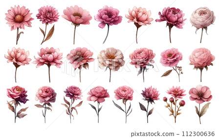 Watercolor illustration material set of pink dried flowers Watercolor illustration material set of pink dried flowers 112300636