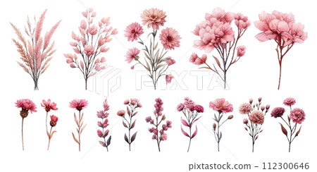 粉紅色乾燥花水彩插畫素材集 112300646