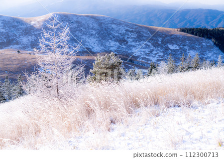 《Nagano Prefecture》 Kirigamine plateau in winter, a primeval forest of hoarfrost 112300713