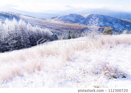 《Nagano Prefecture》 Kirigamine plateau in winter, a primeval forest of hoarfrost 112300720