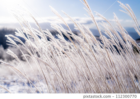 《Nagano Prefecture》 Kirigamine plateau in winter, a primeval forest of hoarfrost 《Nagano Prefecture》 Kirigamine plateau in winter, a primeval forest of hoarfrost 112300770