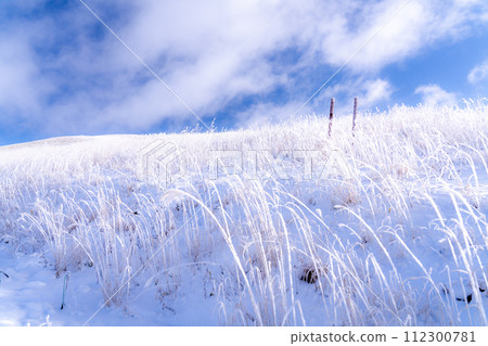《Nagano Prefecture》 Kirigamine plateau in winter, a primeval forest of hoarfrost 112300781