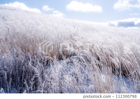 《Nagano Prefecture》 Kirigamine plateau in winter, a primeval forest of hoarfrost 《Nagano Prefecture》 Kirigamine plateau in winter, a primeval forest of hoarfrost 112300798