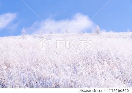 《Nagano Prefecture》 Kirigamine plateau in winter, a primeval forest of hoarfrost 112300810
