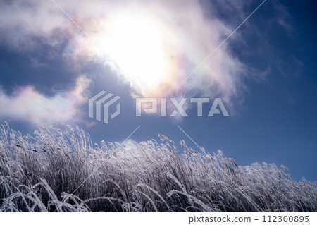 《Nagano Prefecture》 Kirigamine plateau in winter, a primeval forest of hoarfrost 112300895