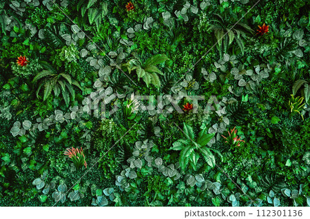Collection of green leaves on wall for decoration in a coffee shop. Green nature. plant background 112301136