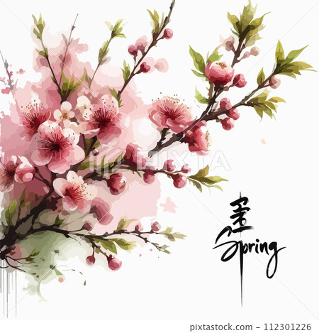 Cherry blossom branch with sakura flower. Sakura on white background. Watercolor cherry bud. 112301226