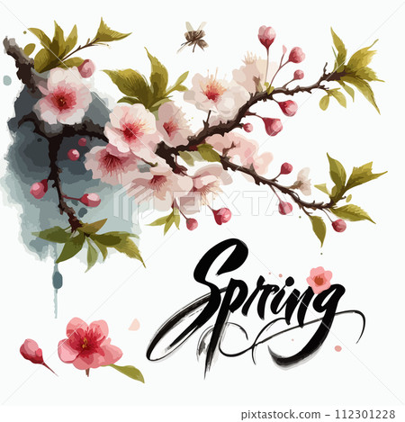 Cherry blossom branch with sakura flower. Sakura on white background. Watercolor cherry bud. 112301228