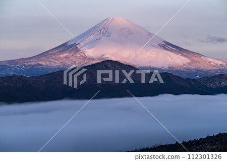 【神奈川縣】富士山、蘆之湖、箱根大觀山的大雲海景觀 112301326