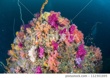 Underwater world 112301895