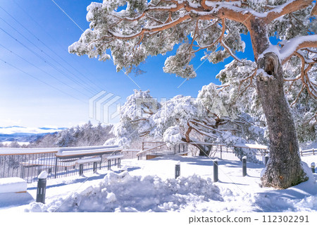 [山梨縣]冬季的富士山夜景和雪中的二宿熊嶺 112302291