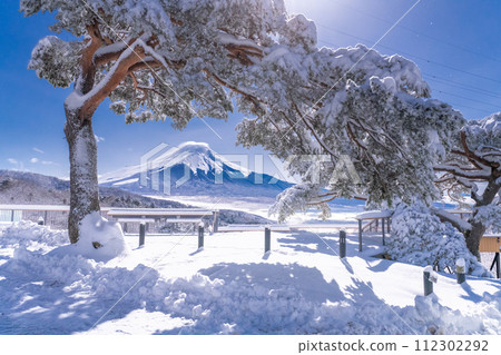 [山梨縣]冬季的富士山夜景和雪中的二宿熊嶺 112302292