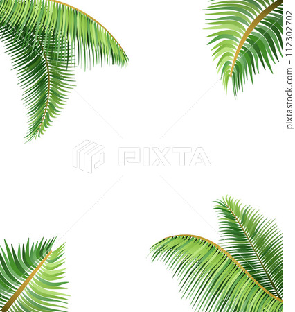 green leaves of tropical palm tree vector illustration green leaves of tropical palm tree vector illustration 112302702