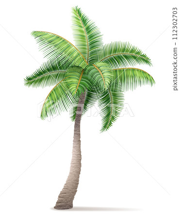 tropical palm tree with green foliage vector illustration tropical palm tree with green foliage vector illustration 112302703