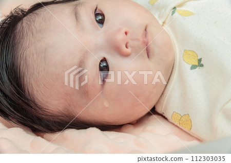 [Baby tears] 112303035