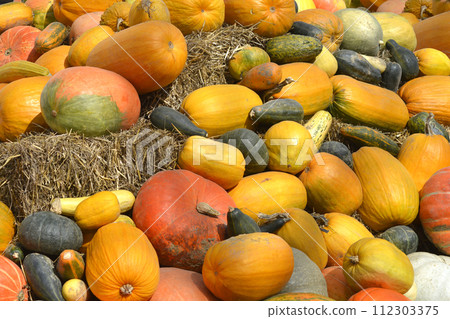 Pumpkins 112303375