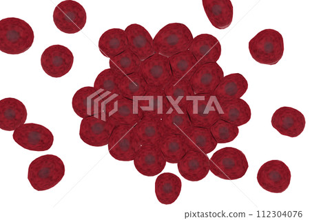 Image of multiple animal cells 112304076