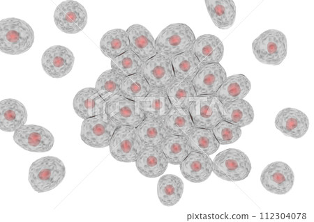 Image of multiple animal cells 112304078