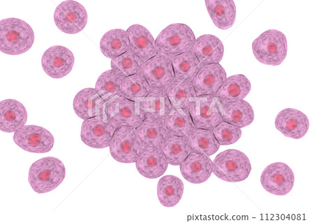 多個動物細胞的圖像 多個動物細胞的圖像 112304081