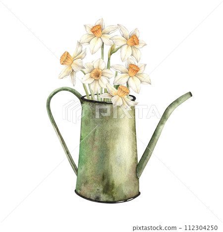 Watercolor floral composition with green watering can and daffodils. Hand drawn illustrations on isolated background for greeting cards, invitations, happy holidays, posters, fabric, label. 112304250