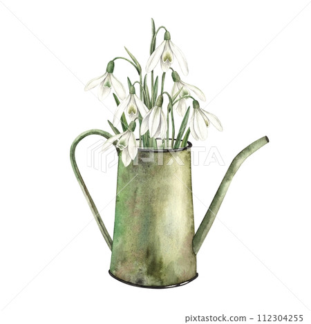 Watercolor floral composition with green watering can and snowdrops. Hand drawn illustrations on isolated background for greeting cards, invitations, happy holidays, posters, fabric, label. 112304255