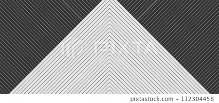 Black and white minimal lines abstract geometric tech background 112304458