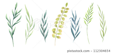 Set of watercolor herbs. Meadow wild plants. Provence abstract grass. Hand drawn illustration of field weeds. Clip art for decoration, template, cosmetic package 112304654