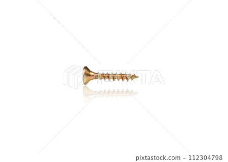 macro screw of golden color on a white background macro screw of golden color on a white background 112304798