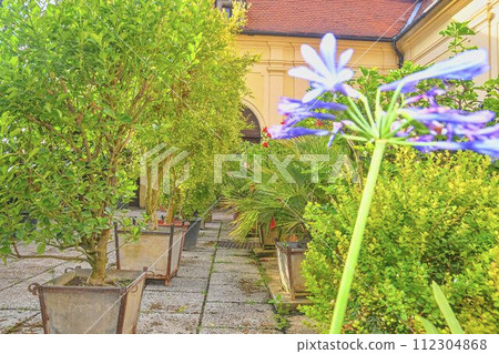 Little garden in urban historic courtyard. Garden style 112304868