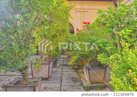 Little garden in urban historic courtyard. Garden style 112304870