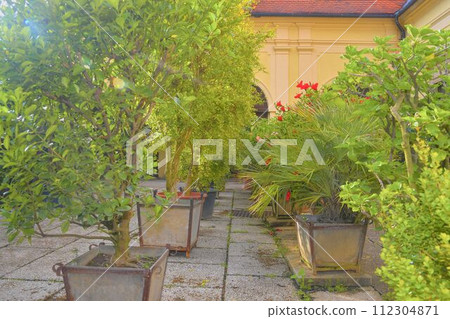 Little garden in urban historic courtyard. Garden style 112304871