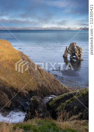 Natural statue of a drinking animal, Iceland 112305421