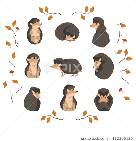 Cute Little Hedgehog Collection, Lovely Wild Forest Animal Cartoon Character in Various Poses Vector Illustration 112306126
