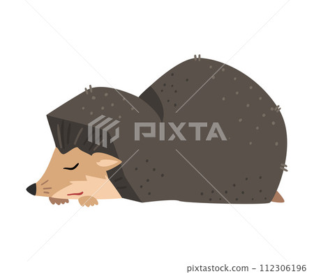Cute Hedgehog Sleeping, Adorable Prickly Wild Forest Animal Cartoon Character Vector Illustration 112306196