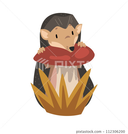 Cute Hedgehog with Mushroom, Adorable Prickly Wild Forest Animal Cartoon Character Vector Illustration Cute Hedgehog with Mushroom, Adorable Prickly Wild Forest Animal Cartoon Character Vector Illustration 112306200
