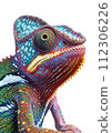 Beautiful Chameleon Isolated on a White Background. 112306226