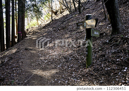 Tanzawa mountain trail: The road leading to the summit of Mt. 112306451