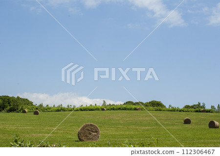Scenery of blue sky and grass rolls Scenery of blue sky and grass rolls 112306467