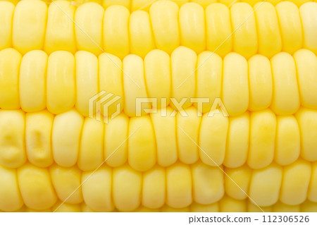 Close up Raw corn kernels in rows. 112306526